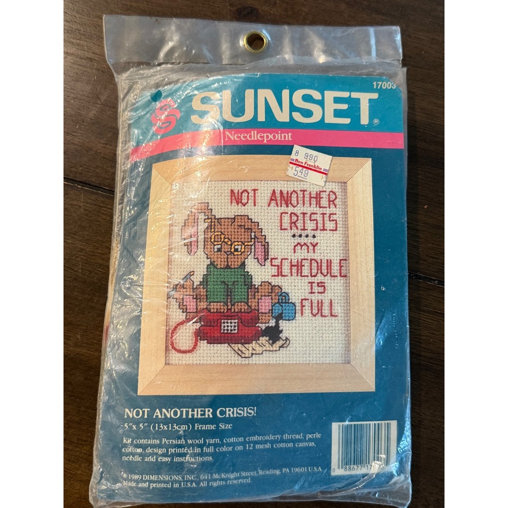 Vintage 1989 Sunset Dimensions Needlepoint Kit 17003 Not Another Crisis Bunny
